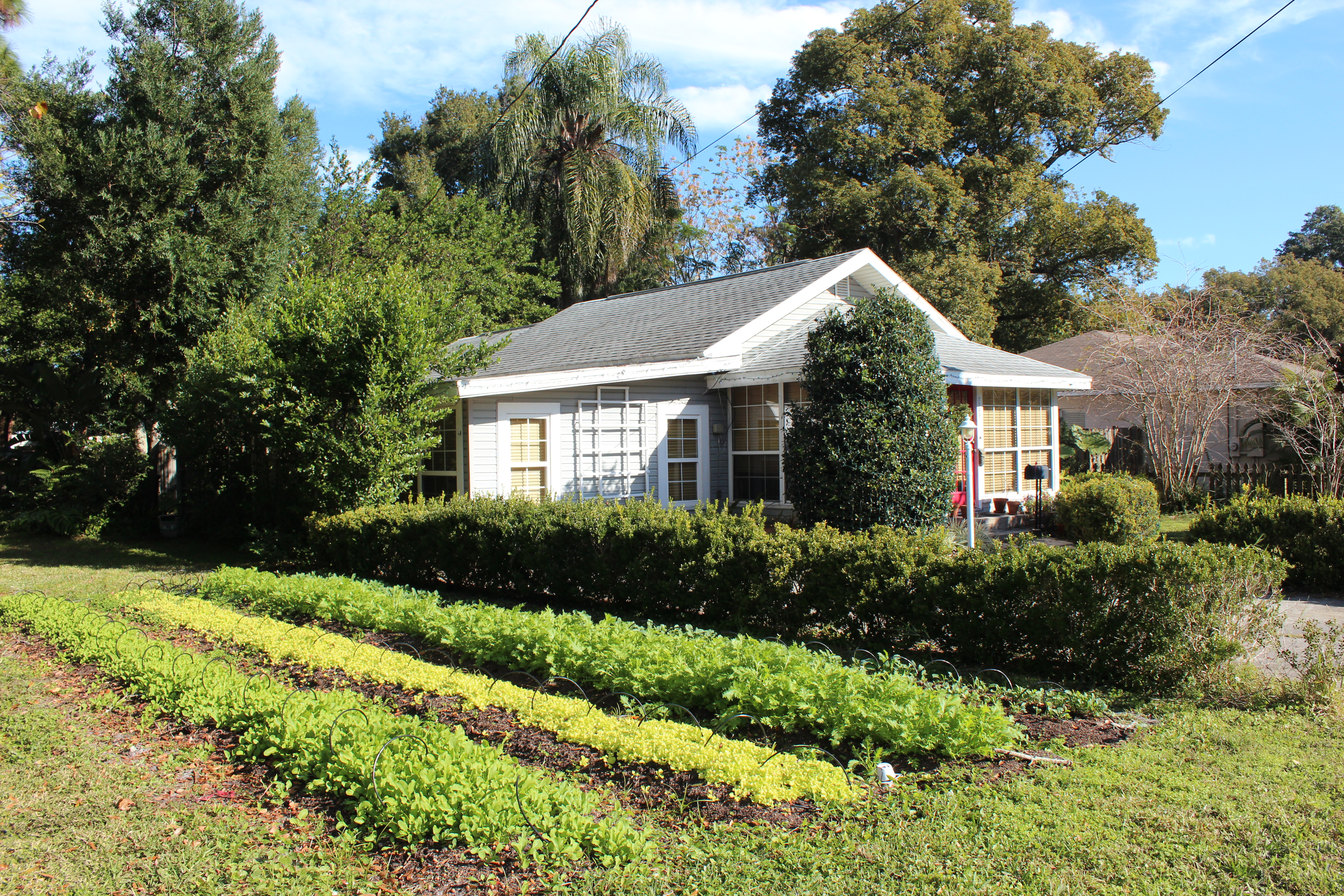 Is Farm To Table Just A Trend?