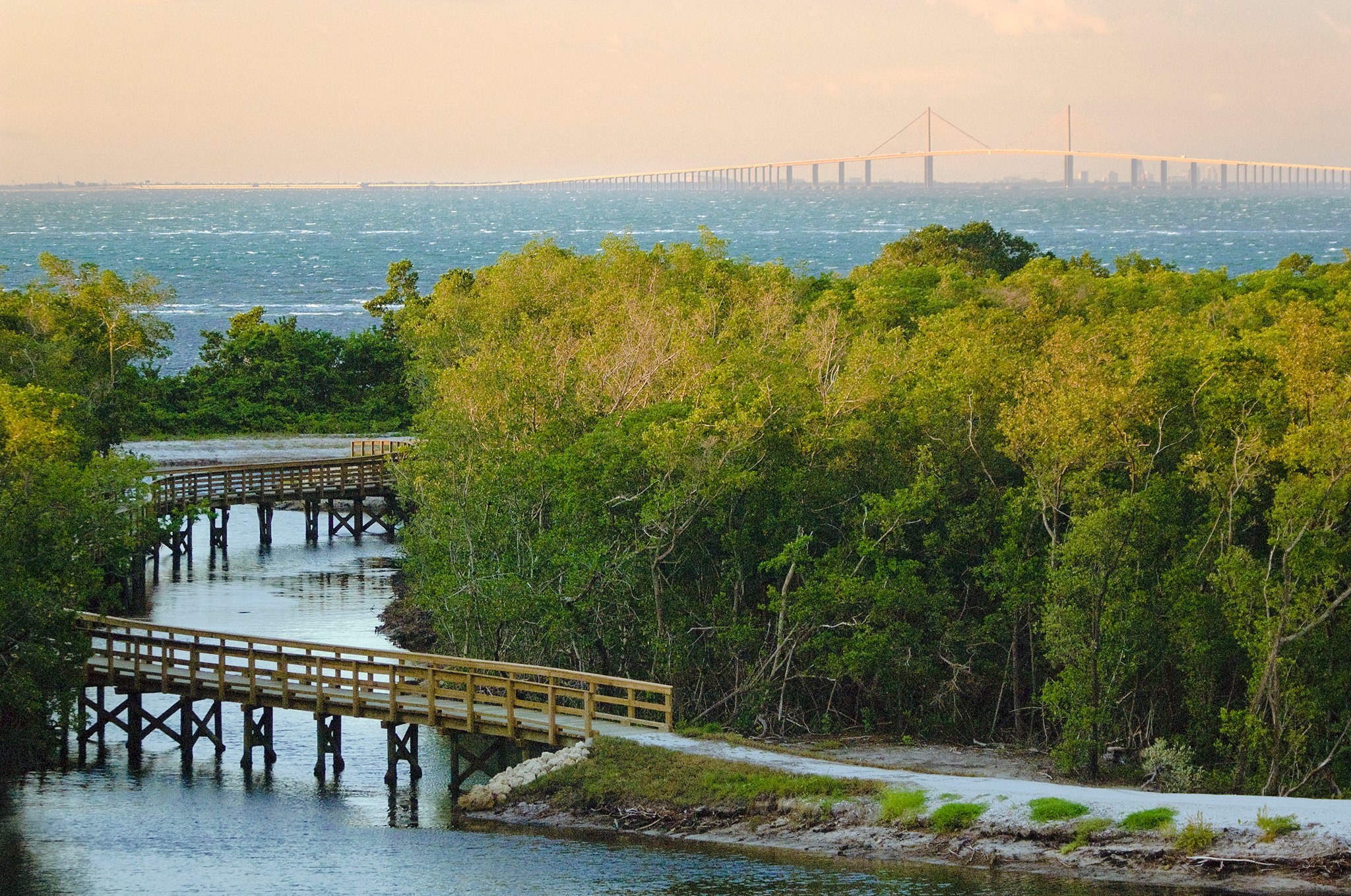 Eco Tours On The Gulf Coast Of Florida
