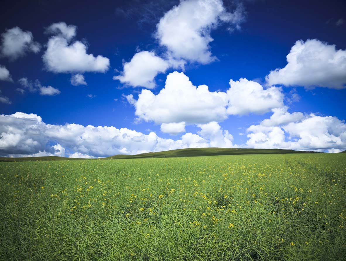 Breathe Easy
