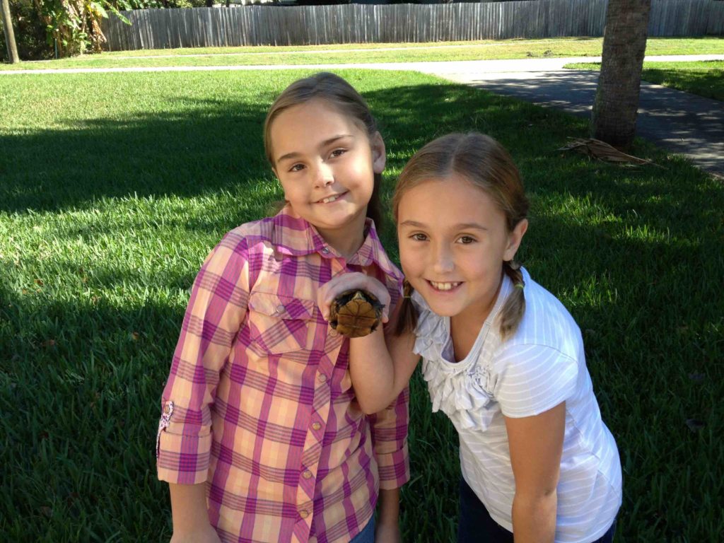 addisandkyliethepursuitofplay Central Florida Lifestyle Addie and Kylie found a turtle during a family play outing