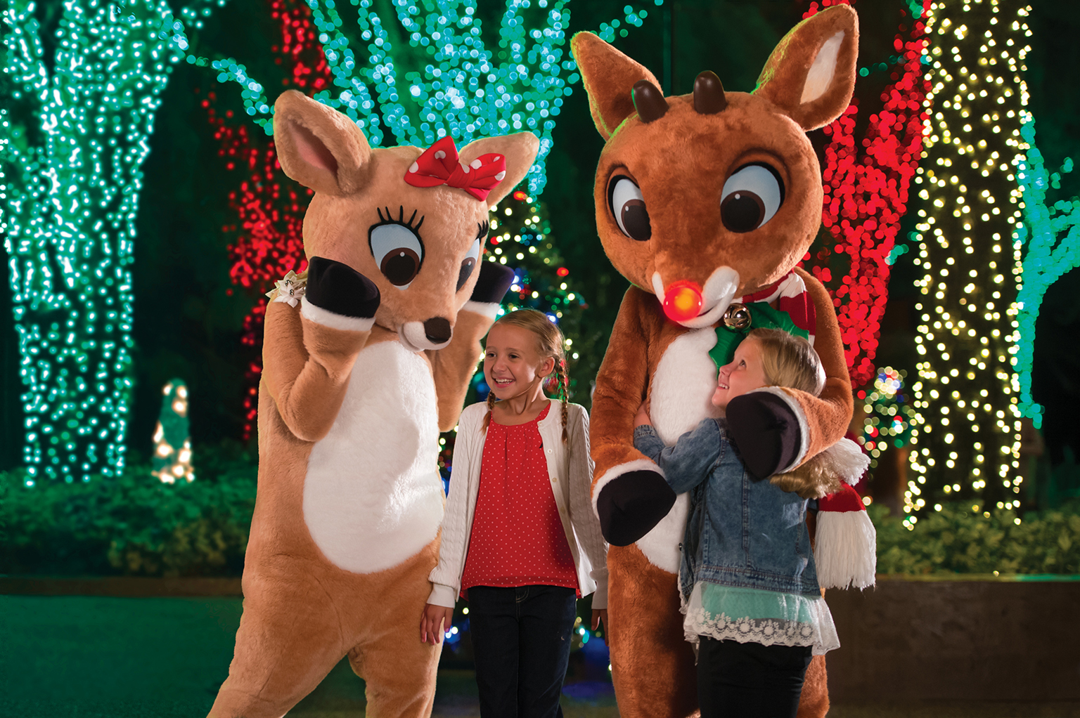 What to Expect at SeaWorld’s Christmas Celebration
