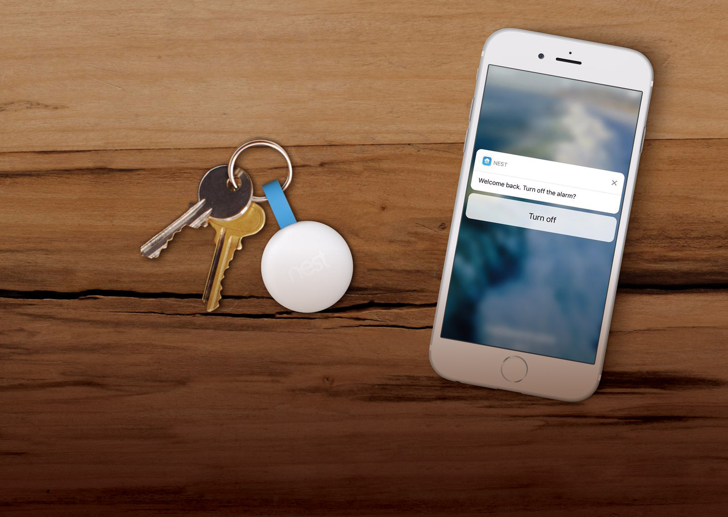 High-Tech Home Protection
