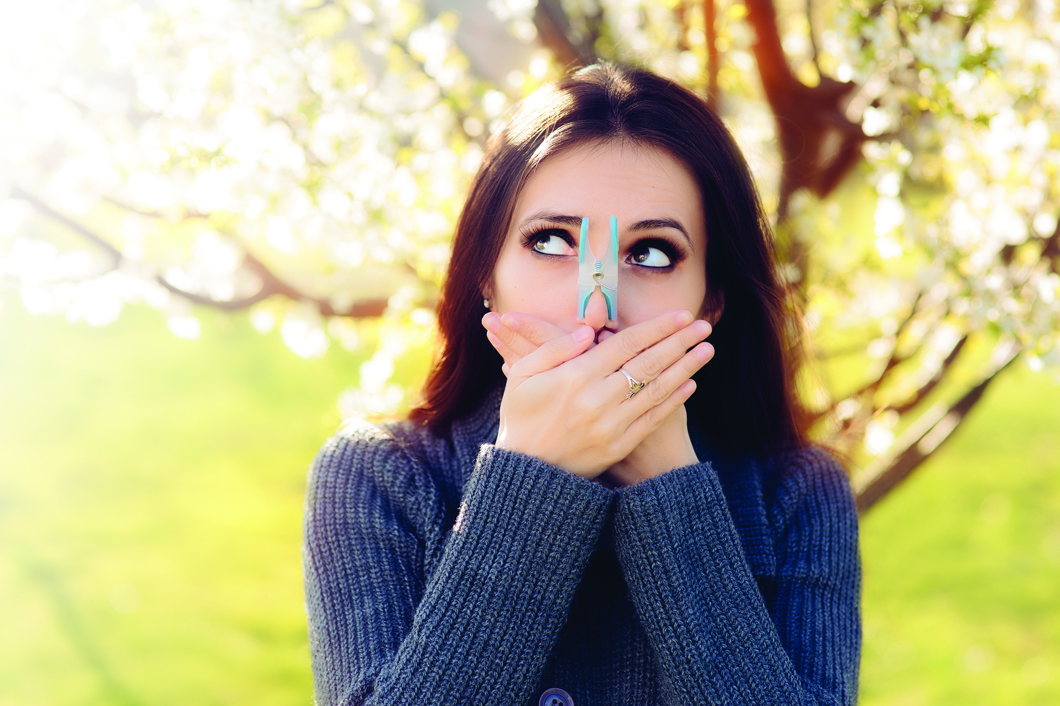 What to Know About Spring Allergies