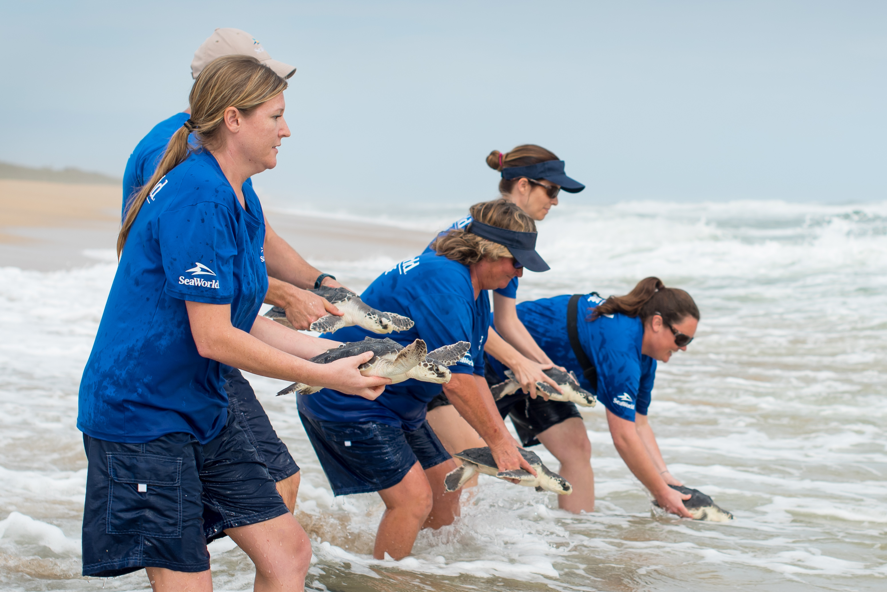 3 Ways SeaWorld Makes a Difference