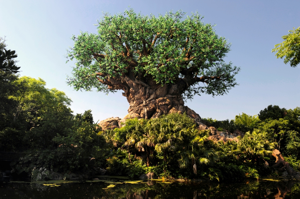 Like Wine, Disney’s Animal Kingdom Gets Better With Time