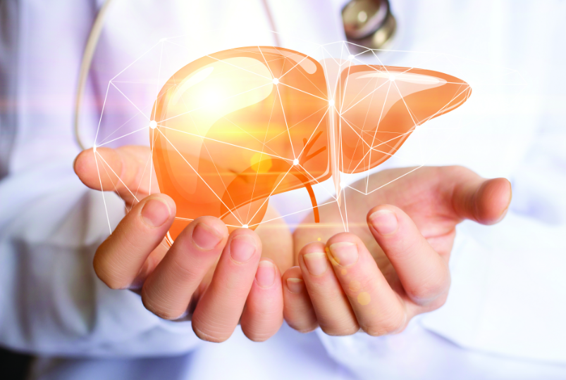 What Is Fatty Liver Disease?