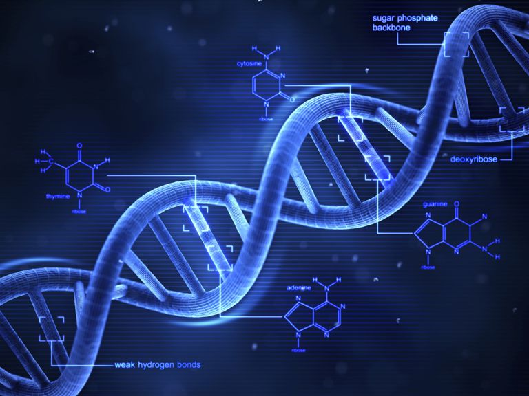 Is knowledge power when it comes to your health? First-of-its-kind Florida DNA study may unlock answers
