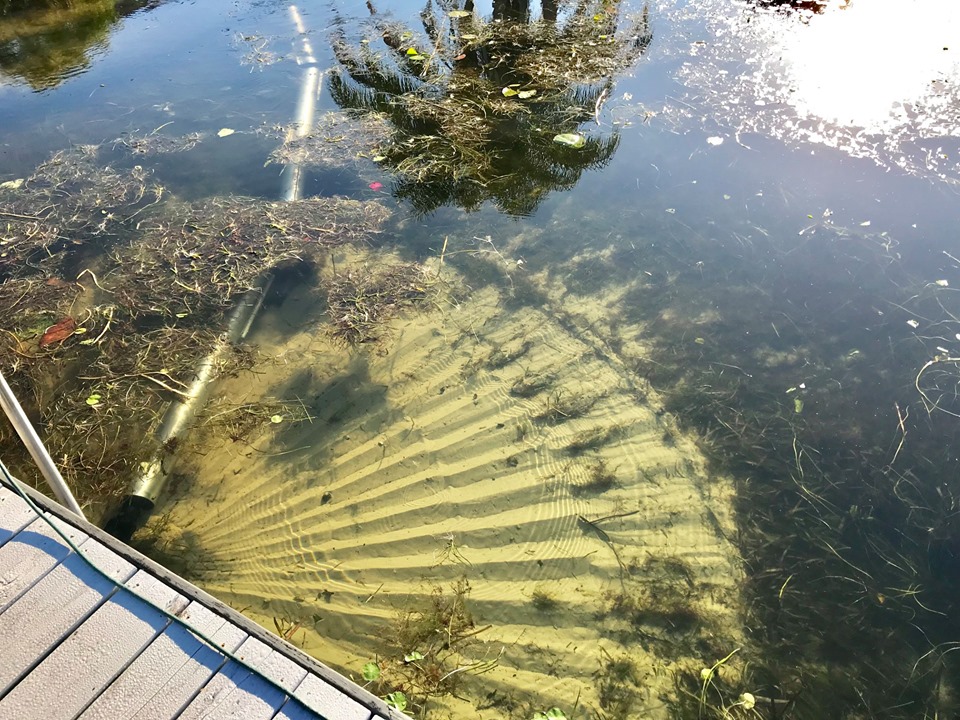 windermere-lakefront-after-two-days-with-shorething - Central Florida Lifestyle