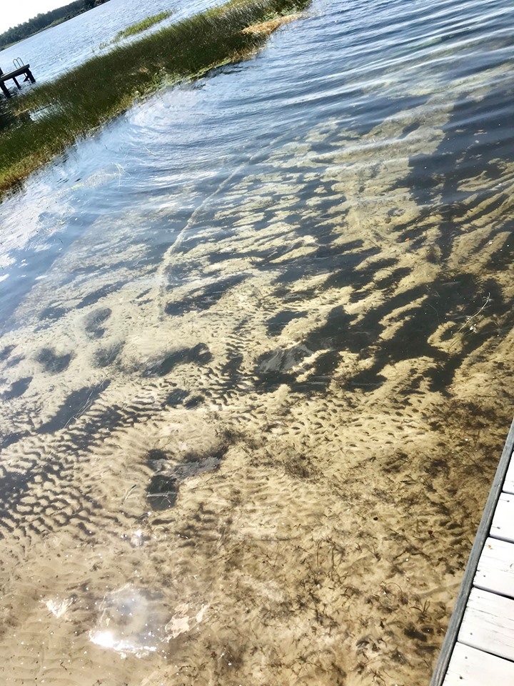 windermere-lakefront-after-two-weeks-with-shorething - Central Florida Lifestyle