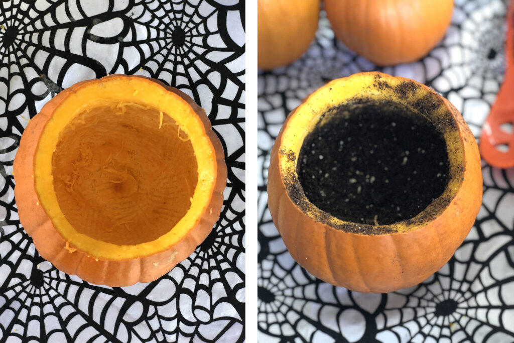 pumpkinplanter4 Central Florida Lifestyle