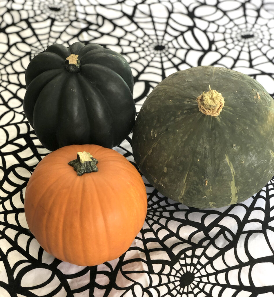 pumpkinplanter7 Central Florida Lifestyle