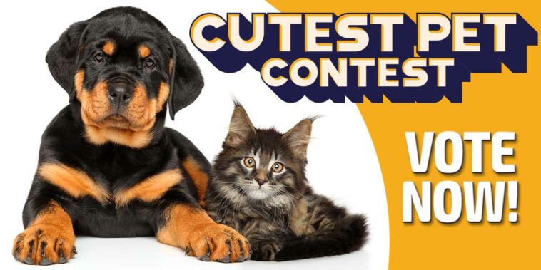 FB1200x600DogCatvote Central Florida Lifestyle