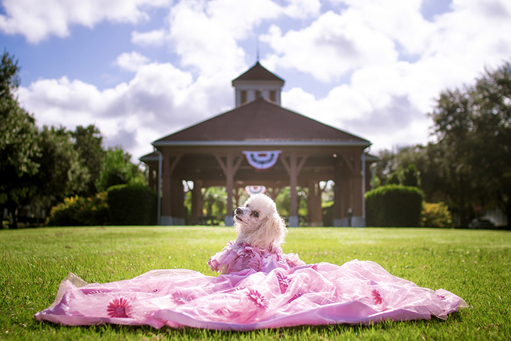 jolie2ndplace Central Florida Lifestyle