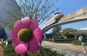 Flower & Garden Festival