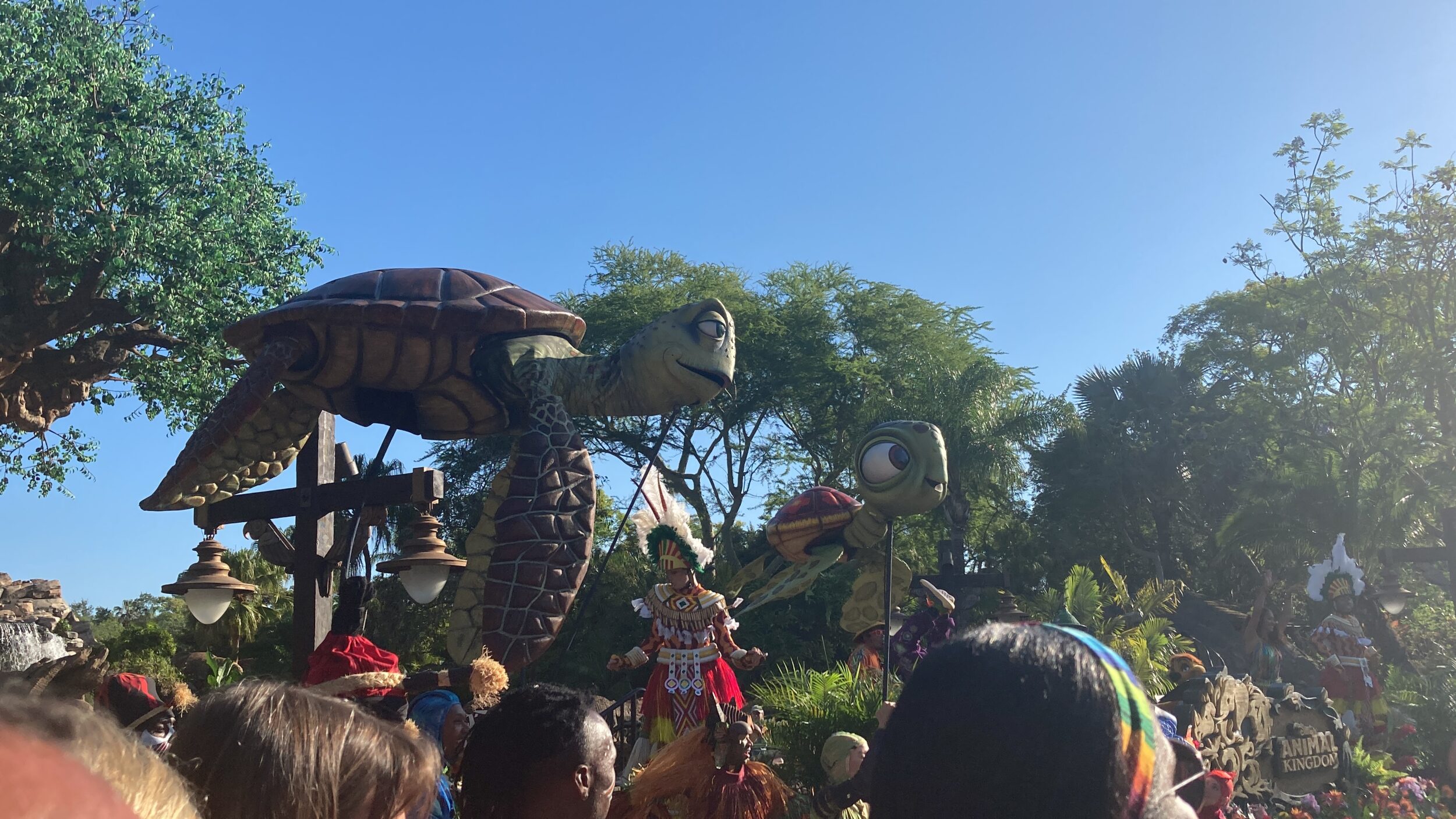 IMG9243 Central Florida Lifestyle animal kingdom disney's characters turtle trees crowds heads