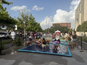 IMG_3132 - Central Florida Lifestyle